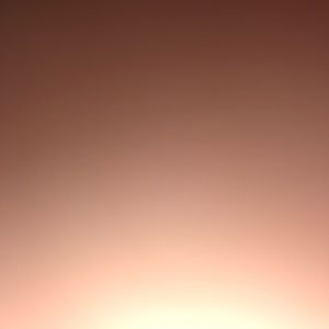 Meet your Posher, Bryan